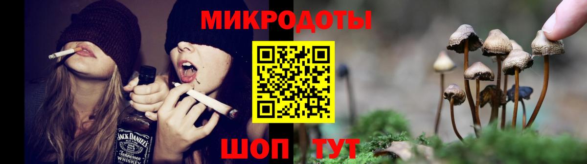 Борисоглебск  Галлюциногенные грибы ЛСД  Вход с VPN 